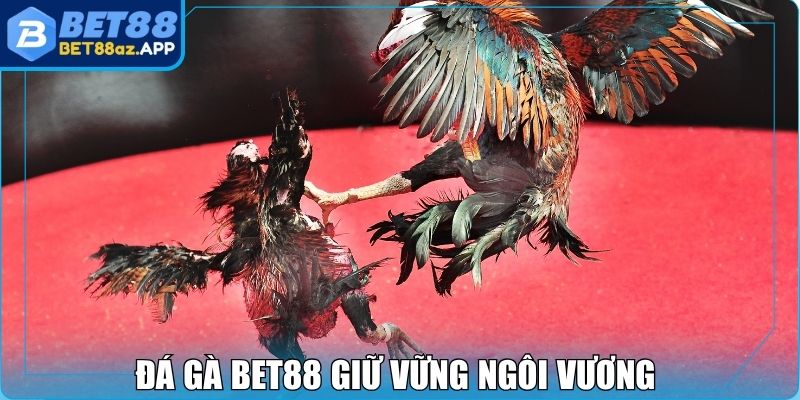 Đá Gà Bet88 - Trực Tiếp Các Trận Đấu Hấp Dẫn Nhất 2025 Đá gà Bet88 giữ vững ngôi vương trong giới cược